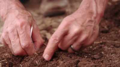 So Joseph committed himself
to Mary as her husband. - The Healing Garden