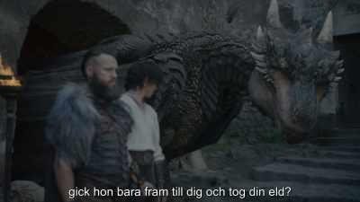 So, just to be clear, - Dragonheart: Battle for the Heartfire
