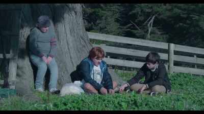 So, you just cut the grass, 
and squish it into this cigarette. - Lunatics