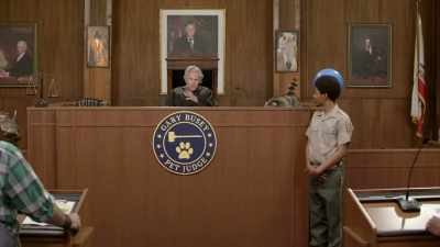 So just pay me the $200, - Gary Busey: Pet Judge
