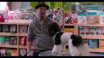 So, Ken, what are you seeing
with this dog? - Dogs