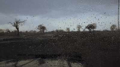 So, you know,
I was feeling a little bit concerned, - In the Footsteps of Elephant