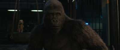 So, you know, run along, - The One and Only Ivan