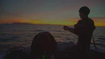 So, knowing how we've
already so decimated the oceans, - Sharkwater Extinction