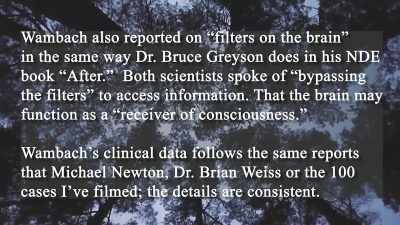 So your left brain will go along
on the trip and let it observe. - Hacking the Afterlife