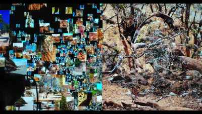 So, left side is a data set
of different landscapes. - What's Next? The Future with Bill Gates