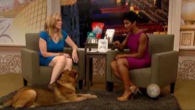 So let me ask you this, - Pet Fooled