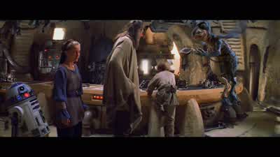 So, let me take thee out back, huh? - Star Wars: Episode I   The Phantom Menace