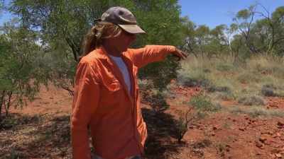 So, let's do the trench
to see what the ground is doing - Outback Opal Hunters