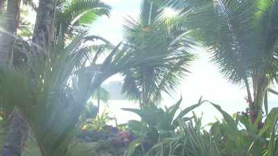 SO LET'S SEE. - Love Island