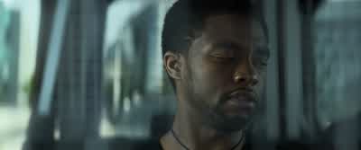 The black panther has been the protector of wakanda for generations. - Captain America: Civil War