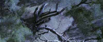 So like most fungi, - 4 Horsemen: Apocalypse