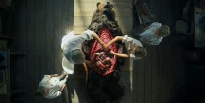So, like this, cut along the side. - Midsommar