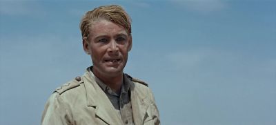 So long as the Arabs fight tribe against tribeso long will they be a little peoplea silly peopleGreedy barbarous and cruel as you are - Lawrence of Arabia