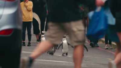 So many giants out today. - Penguin Town