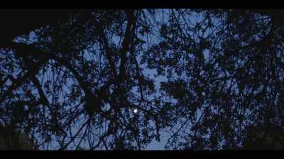 So many of the things
that we did together, - I'll Be Gone in the Dark