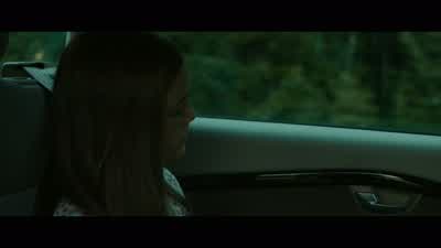 So many trees. - Pet Sematary