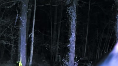 So, maybe he's focusing on one.
That would make sense. - Beyond Skinwalker Ranch
