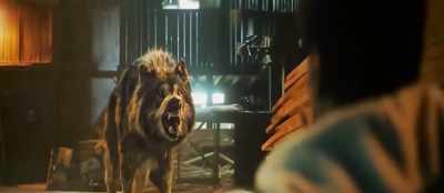 So maybe that wolf wanted to kill you - Bhediya