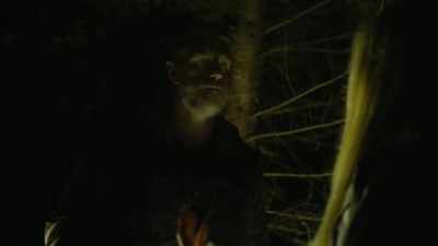 -So we might wanna use that
as our path, as our guide.
-Yeah. - Expedition Bigfoot