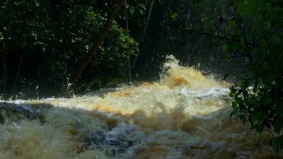 So much water collects in the Amazon Basin below that the - Hostile Planet