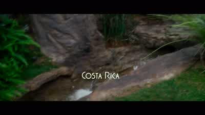 The first one to skip was John NanceHe found a nice warm secluded place in Costa RicaHe thought nobody would find him thereBut then his kid got nabbed by the Feds for drugsSo naturally the bosses were afraid he'd come out of hidingjust to save his kid and - Casino