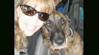 So my next call was to
my local abc station. - Pet Fooled