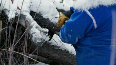 So now I'm securing this snare. - Life Below Zero: First Alaskans