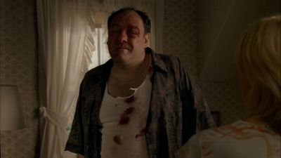 So now it's my fault - The Sopranos