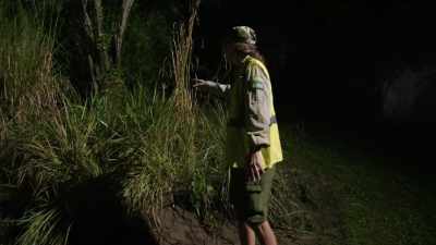 So now that we've got
all these great grasses, - Magic of Disney's Animal Kingdom