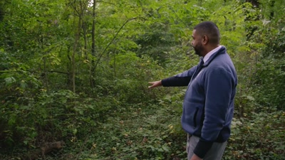 So, off the path over here, - How I Caught My Killer