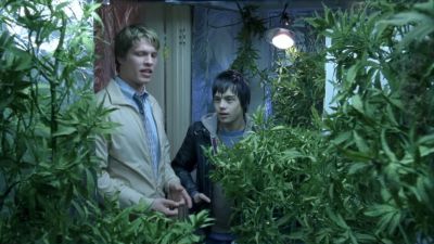 So okay You get all you want for free - Garden Party