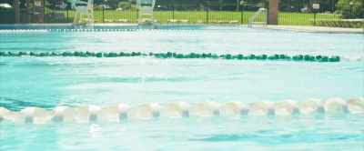- So, on the topic of career paths and such, - The Lifeguards