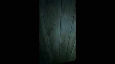 So on top of everything else, - Horror in the High Desert 2: Minerva