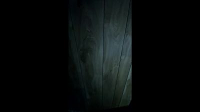 So on top of everything else, - Horror in the High Desert 2: Minerva