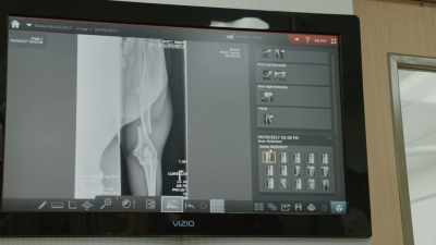 So once we got the X-rays,
and we could look at those injuries - Path of the Panther