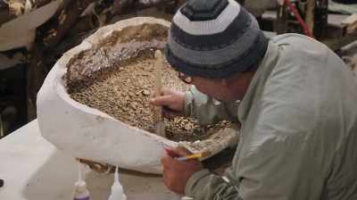 SO ONCE THAT SOFT TISSUE HAS
ROTTED AWAY, THE TEETH TEND TO - Dino Hunters