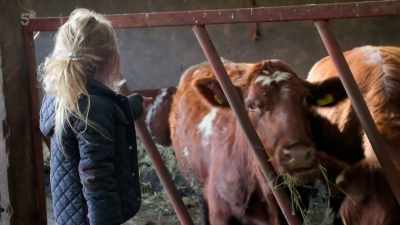 So, this one here
is going to have a baby too. - Our Yorkshire Farm