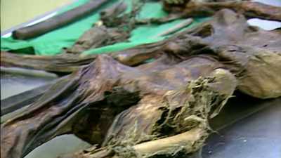 So, Otzi Man has given us
a glimpse on how he lived, - Origins: The Journey of Humankind