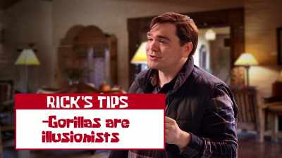 So, while Patrick was
dressed as a gorilla, - SpongeBob DocuPants