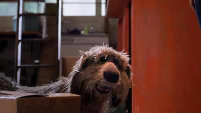 So this place had some first day kinks. - Fraggle Rock: Back to the Rock
