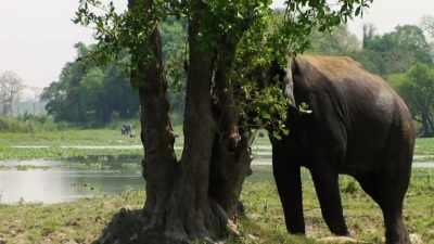 So please
just join us next time, - When Nature Calls with Helen Mirren