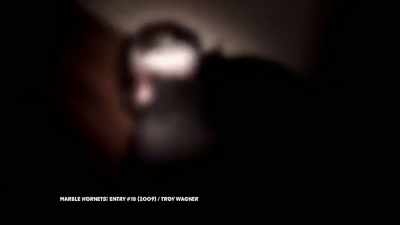 So rather than that
sort of "Stand By Me", - The Found Footage Phenomenon