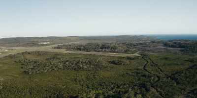 So, really,
in this national park, - Revealed: How to Poison a Planet