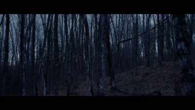 So really what goes on in the countryside - Woodlands Dark and Days Bewitched: A History of Folk Horror