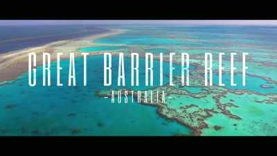 So remarkable you can
see it from space. - Envoy: Shark Cull