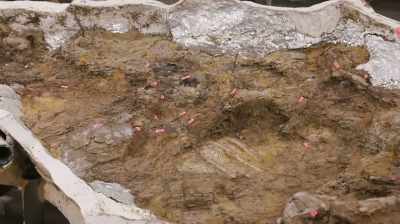 SO RIGHT NOW WE'RE AT 86
COUNTABLE BONES SO FAR, - Dino Hunters