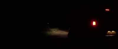 So right now we're trying to be really quiet, we are hiding - Borderless