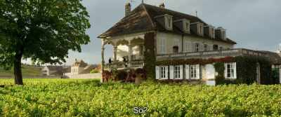 So'? - Back to Burgundy