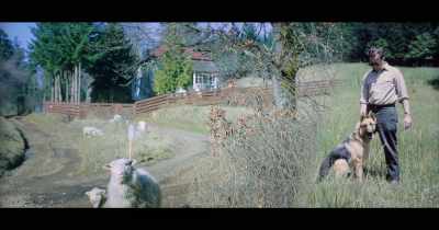 So, - The End of Quantum Reality
